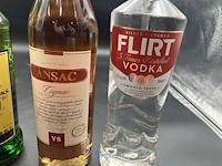 6 flessen diverse geestrijke dranken - afbeelding 4 van  4