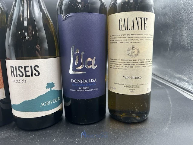 6 flessen diverse witte wijn - afbeelding 4 van  9