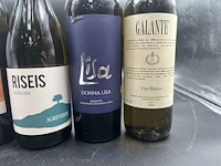 6 flessen diverse witte wijn - afbeelding 4 van  9