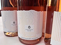 6 flessen rosé wijn cantina sampietrana - afbeelding 2 van  2