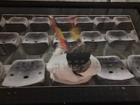 6 fotokaders - afbeelding 4 van  6