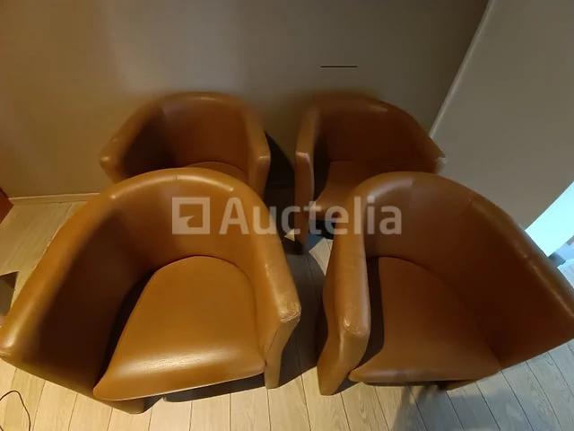 6 imitatiefauteuils - afbeelding 1 van  9