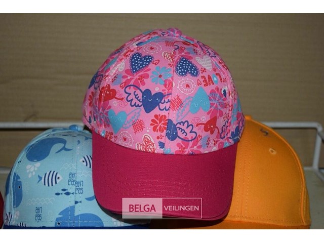 6 petjes - afbeelding 2 van  3