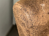 6 stoelen - afbeelding 3 van  5