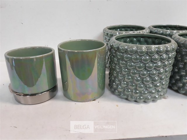 6 x bloempotje 3 assorti groen - afbeelding 3 van  3