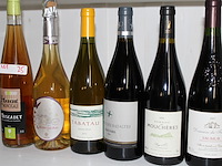 6 x fles wijn rood assortie