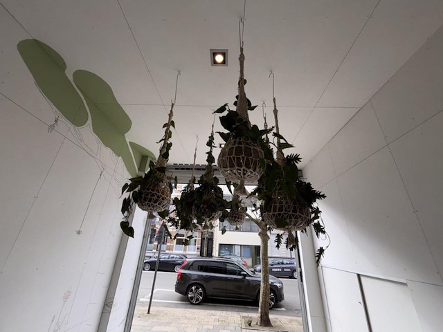 6 x hangdecoratie planten - afbeelding 1 van  4