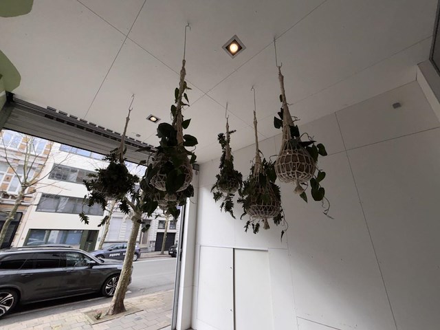 6 x hangdecoratie planten - afbeelding 2 van  4