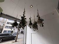 6 x hangdecoratie planten - afbeelding 2 van  4