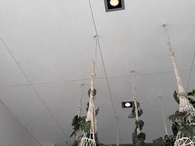 6 x hangdecoratie planten - afbeelding 4 van  4