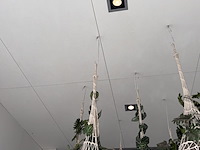 6 x hangdecoratie planten - afbeelding 4 van  4