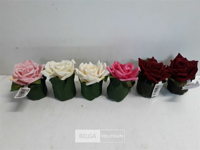 6 x roos in blad mix kleuren - afbeelding 2 van  3