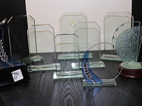 6 x trofee - afbeelding 1 van  1