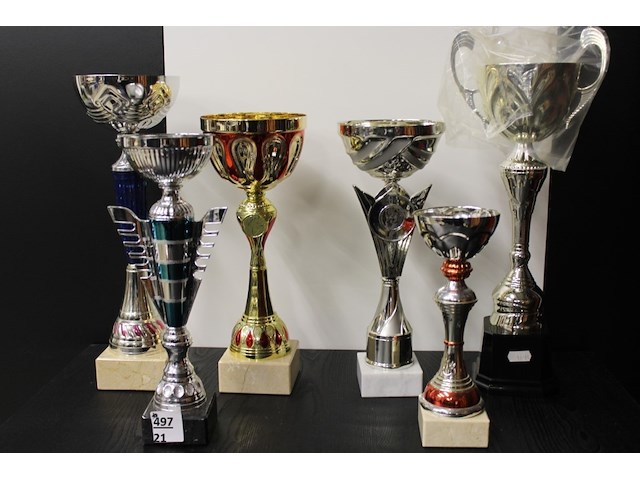 6 x trofee - afbeelding 1 van  2