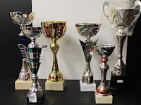 6 x trofee - afbeelding 1 van  2