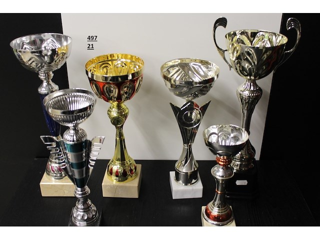6 x trofee - afbeelding 2 van  2