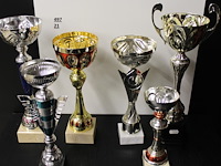 6 x trofee - afbeelding 2 van  2