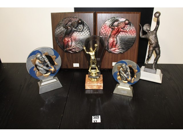 6 x volleyballtrofee - afbeelding 1 van  1