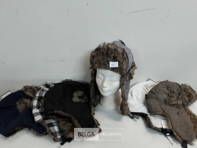 6 x wintermuts boris mix kleuren - afbeelding 1 van  3