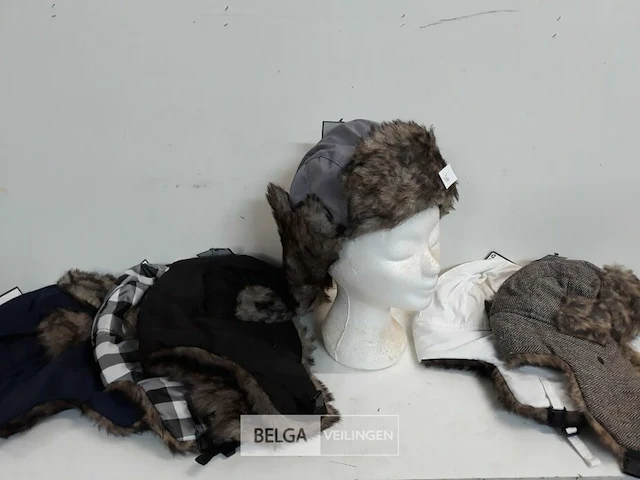 6 x wintermuts boris mix kleuren - afbeelding 3 van  3