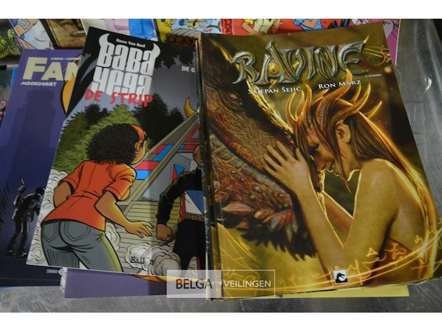 ±60 div stripverhalen - afbeelding 5 van  5