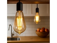 60 x st64 amber filament lamp – 6w – e27 – dimbaar – ip20 - afbeelding 1 van  3