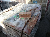 600 vandersanden cayenne bakstenen - afbeelding 1 van  9