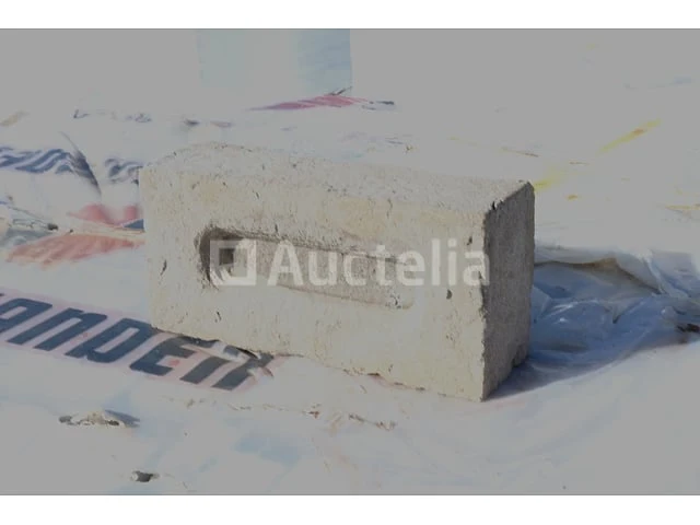620 vandersanden rega bricks - afbeelding 5 van  6