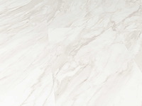 65 m2 pvc click vinyl tegel met xps onderlaag - 610 x 305 x 5 mm - afbeelding 1 van  4