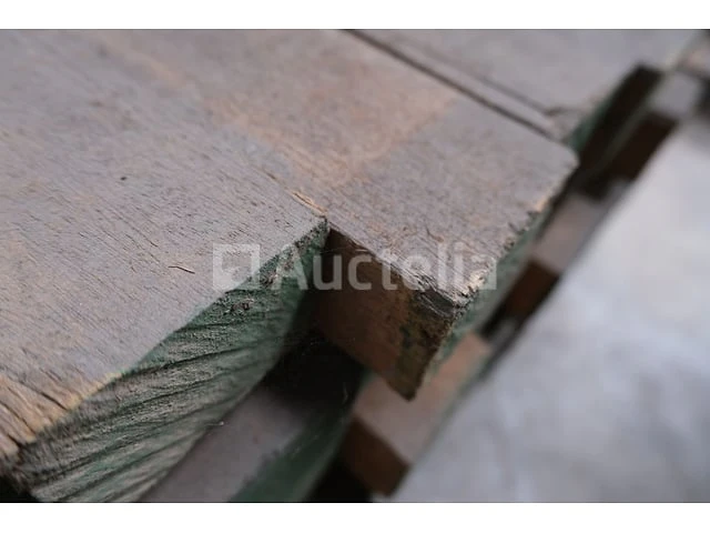 65 meranti houtspoor - afbeelding 5 van  6