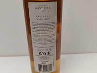 6x 50cl castillo de molina witte wijn - afbeelding 2 van  4