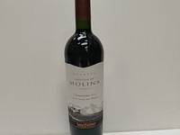 6x 75cl castillo de molina