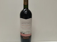 6x 75cl castillo de molina - afbeelding 1 van  4