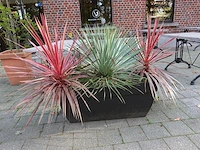 6x bloembak - afbeelding 4 van  6