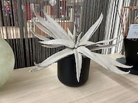 6x decoratie - afbeelding 5 van  5