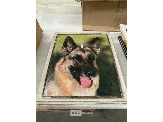 6x div fotokaders met tekeningen - afbeelding 3 van  6