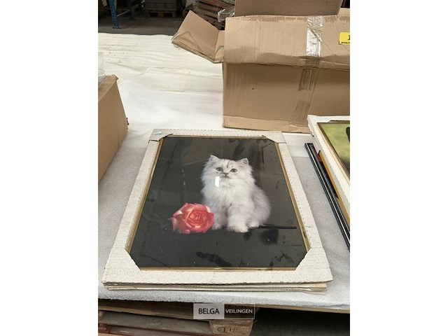 6x div fotokaders met tekeningen - afbeelding 5 van  6