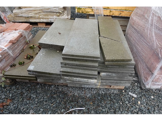 6x diverse palletten stenen - afbeelding 4 van  7