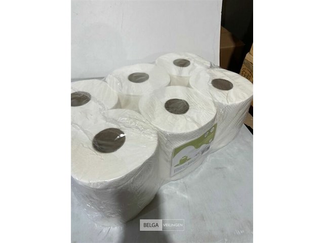 6x handdoekrol 2 lagen - afbeelding 3 van  3