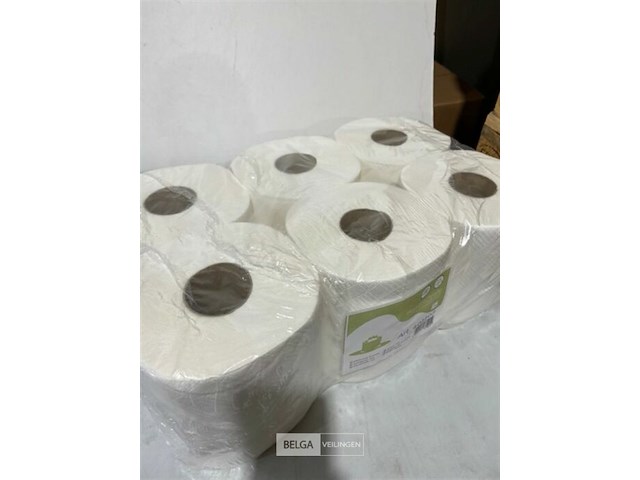 6x handdoekrol 2 lagen - afbeelding 3 van  3
