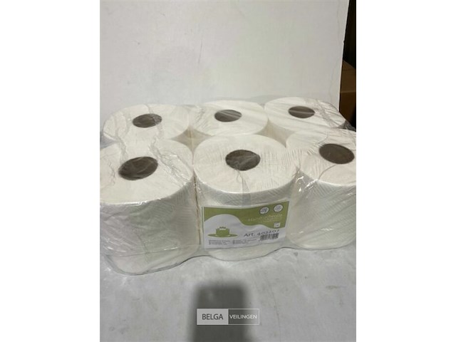 6x handdoekrol 2 lagen - afbeelding 1 van  3