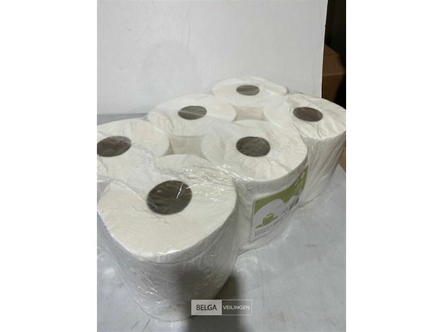6x handdoekrol 2 lagen - afbeelding 3 van  3