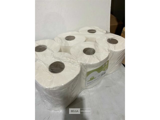 6x handdoekrol 2 lagen - afbeelding 3 van  3