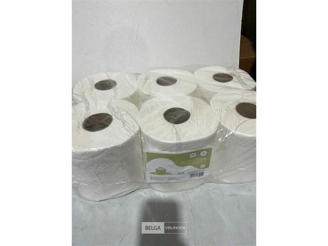 6x handdoekrol 2 lagen - afbeelding 2 van  3