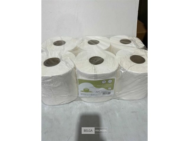 6x handdoekrol 2 lagen - afbeelding 1 van  3