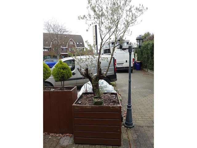 6x houten bloembak - afbeelding 2 van  5