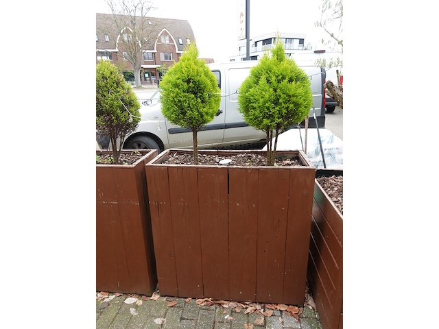 6x houten bloembak - afbeelding 3 van  5