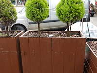 6x houten bloembak - afbeelding 3 van  5