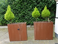 6x houten bloembak - afbeelding 4 van  5