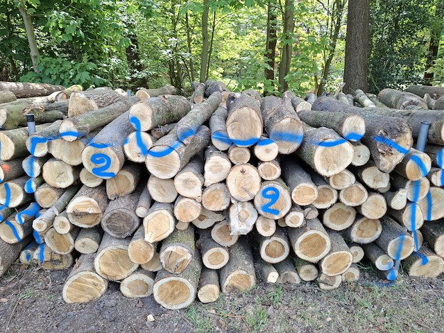 6x stère - afbeelding 1 van  1
